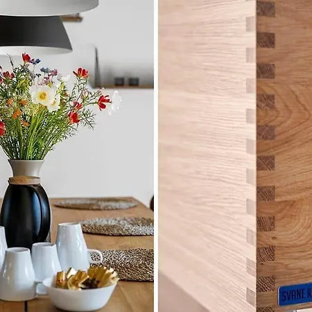 Tatil Evi Bv416-blavand-fyrrevaenget-37